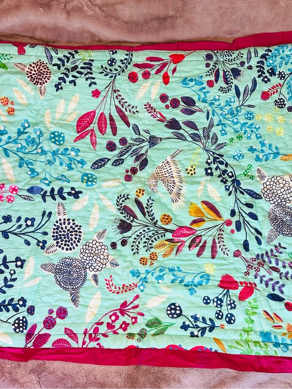 Anthropologie baby toddler